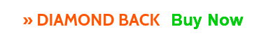» DIAMOND BACK Buy Now